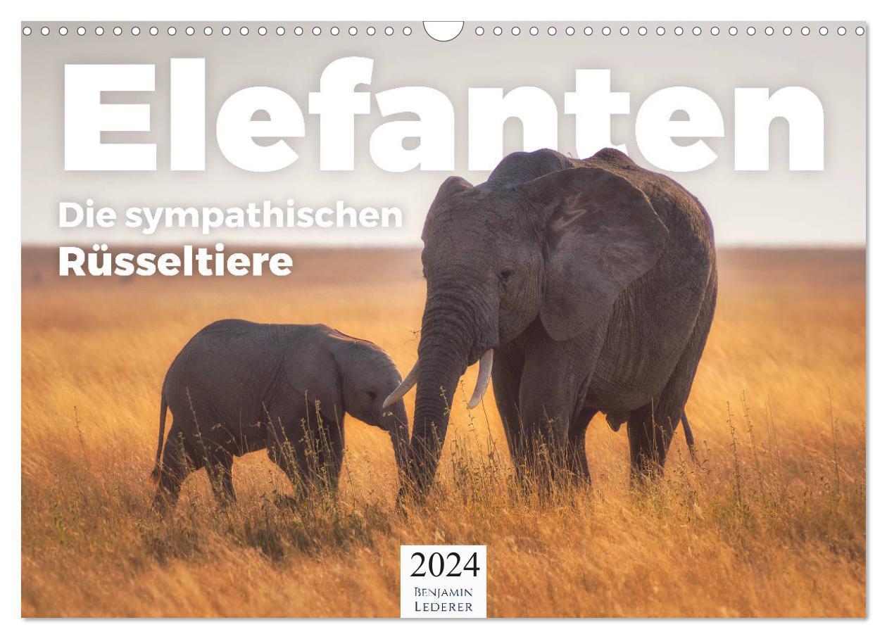 Kalendář/Diář Elefanten - Die sympathischen Rüsseltiere (Wandkalender 2024 DIN A3 quer), CALVENDO Monatskalender Benjamin Lederer