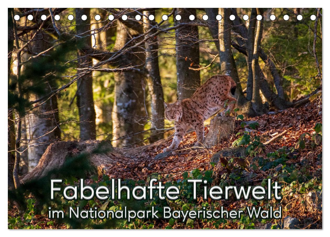 Naptár/Határidőnapló Fabelhafte Tierwelt im Nationalpark Bayerischer Wald (Tischkalender 2024 DIN A5 quer), CALVENDO Monatskalender Christian Haidl