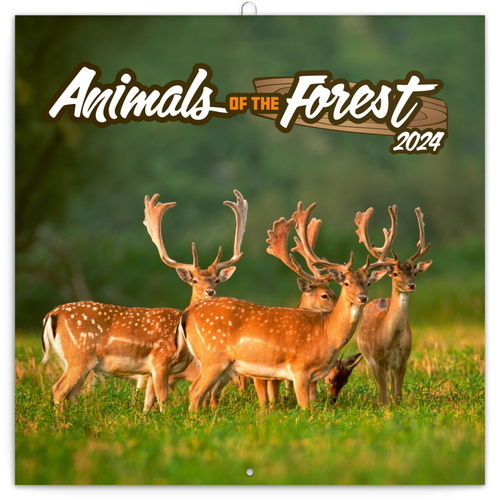 Kalendář/Diář Zvířátka z lesa 2024 - nástěnný kalendář 