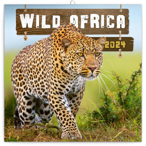Carte Divoká Afrika 2024 - nástěnný kalendář 