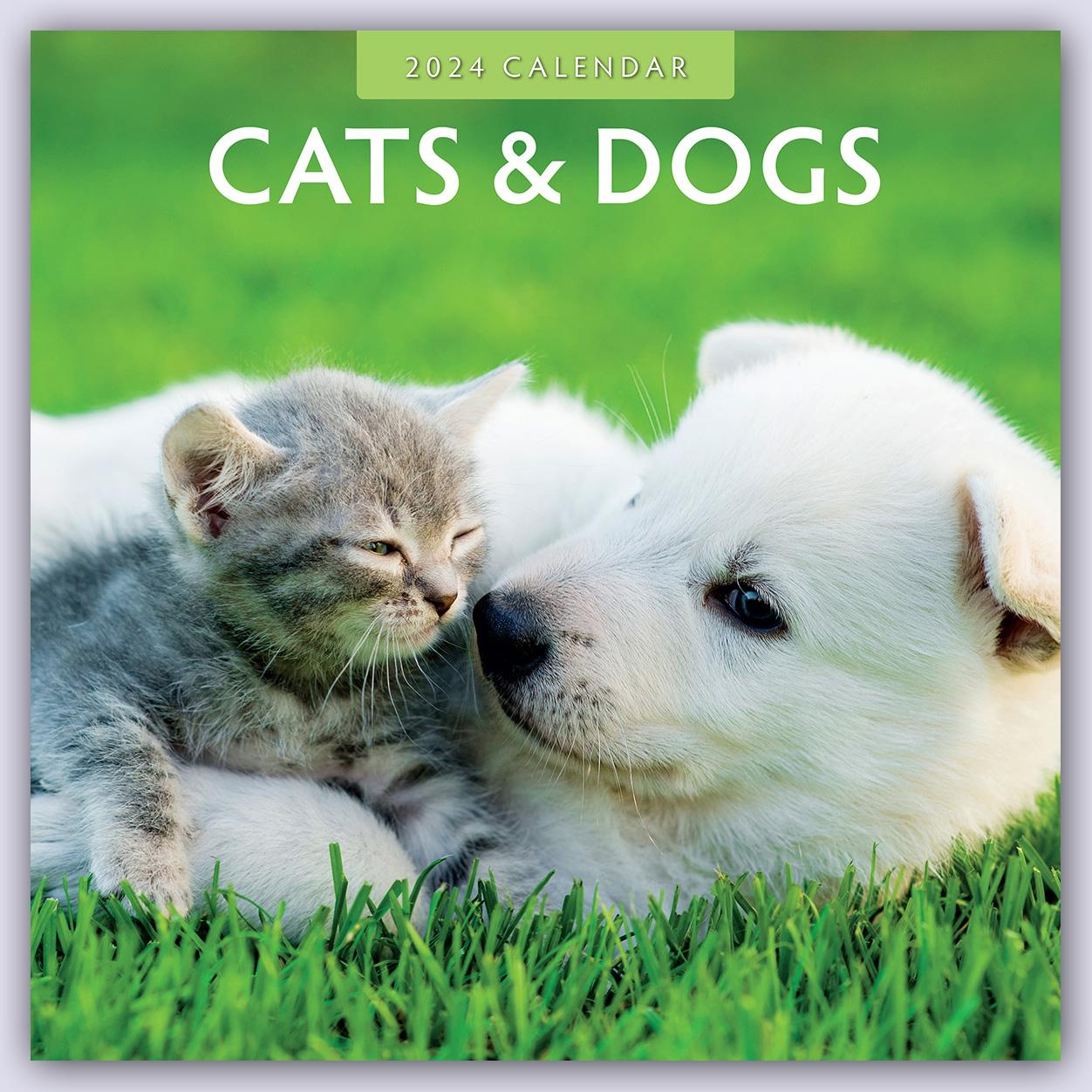 Kalendár/Diár Cats & Dogs - Katzen & Hunde 2024 - 16-Monatskalender 