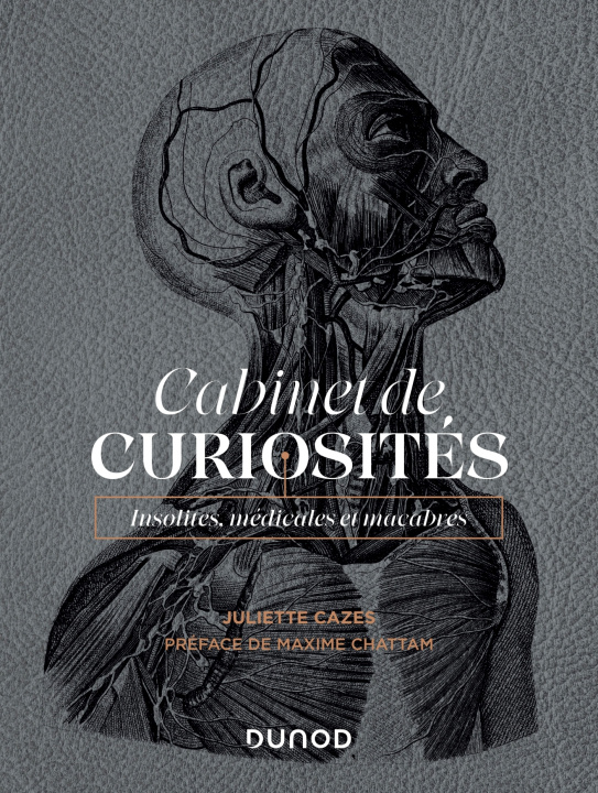 Kniha Cabinet de curiosités Juliette Cazes