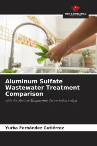 Könyv Aluminum Sulfate Wastewater Treatment Comparison 
