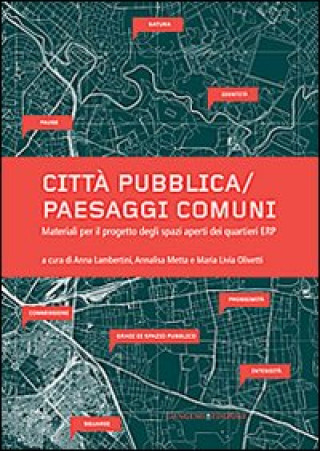 Книга Città pubblica-paesaggi comuni. Materiali per il progetto degli spazi aperti dei quartieri ERP 