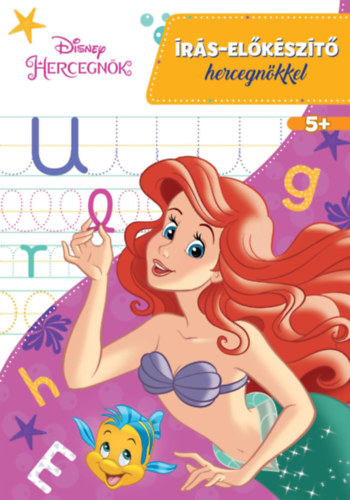 Könyv Disney - Írás-előkészítő hercegnőkkel 