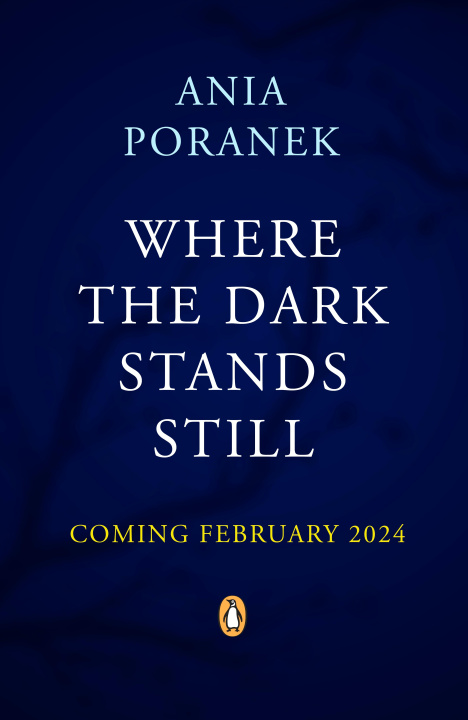 Kniha Where the Dark Stands Still Ania Poranek