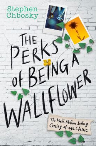 Book Perks of Being a Wallflower YA Edition Stephen Chbosky