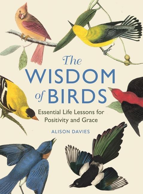 Książka Wisdom of Birds Alison Davies