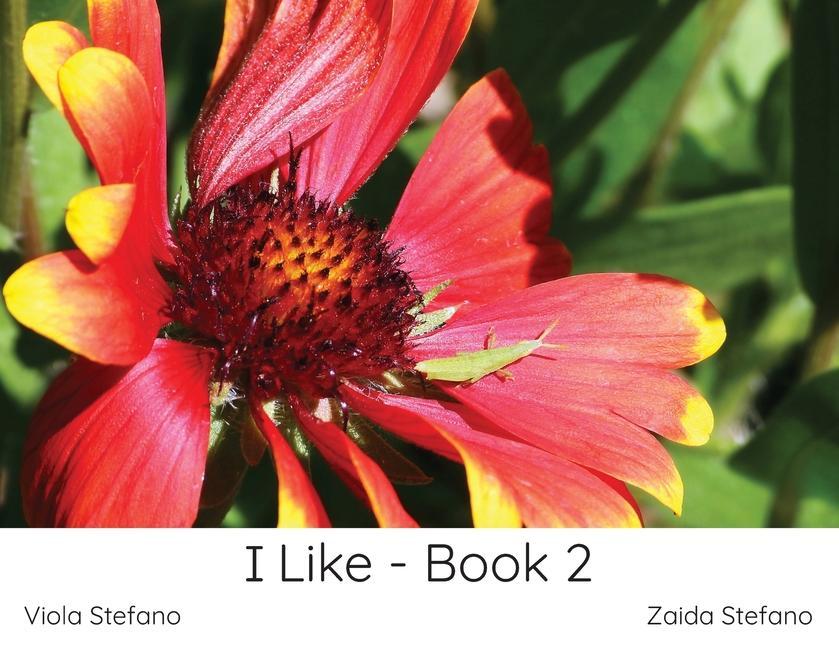 Buch I Like - Book 2 Viola Stefano