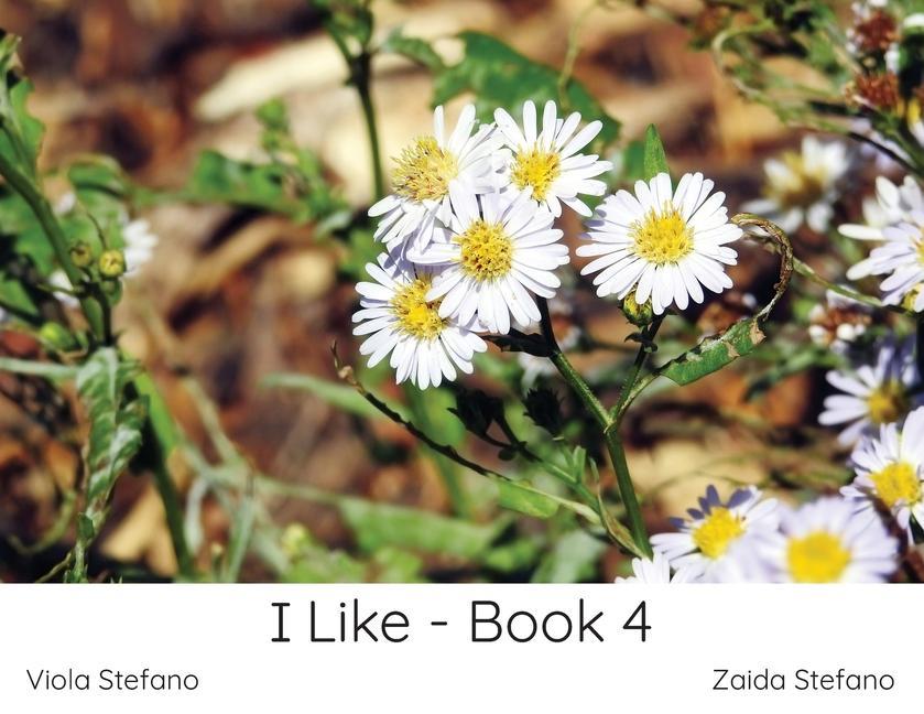 Boek I Like - Book 4 Viola Stefano