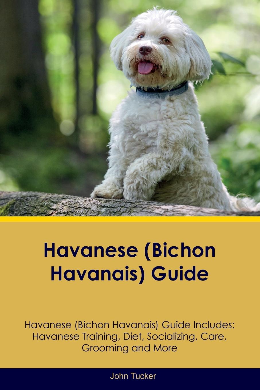 Kniha Havanese (Bichon Havanais) Guide Havanese Guide Includes 