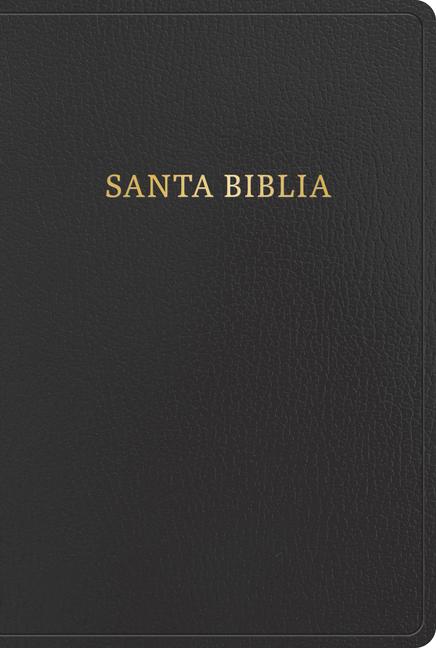 Kniha Rvr 1960 Biblia Letra Gigante, Negro, Imitación Piel (2023 Ed.) 