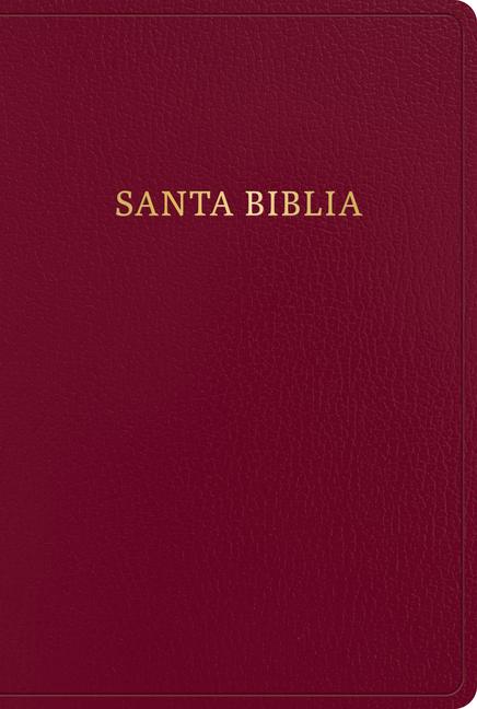 Knjiga Rvr 1960 Biblia Letra Gigante, Borgo?a, Imitación Piel Con Índice (2023 Ed.) 