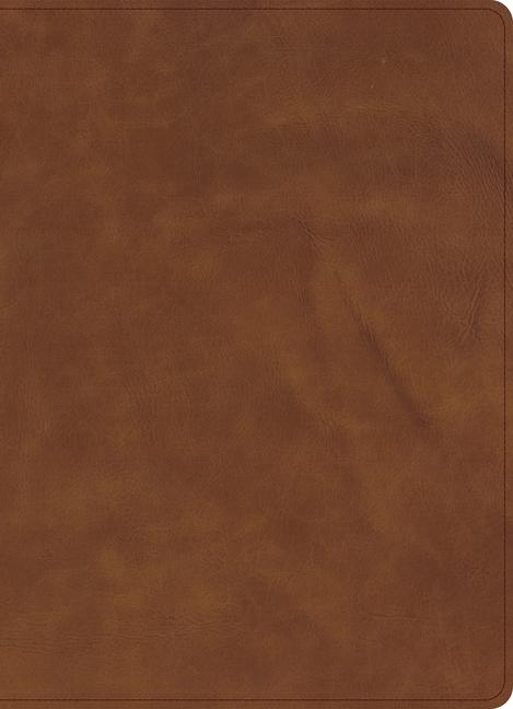 Kniha CSB Verse-By-Verse Reference Bible, Holman Handcrafted Collection, Premium Marbled Tan Calfskin 