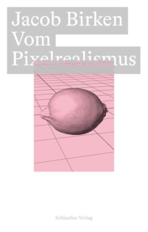 Buch Vom Pixelrealismus Friedrich Haufe