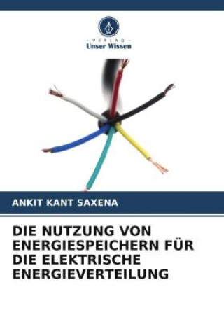 Książka DIE NUTZUNG VON ENERGIESPEICHERN FÜR DIE ELEKTRISCHE ENERGIEVERTEILUNG 