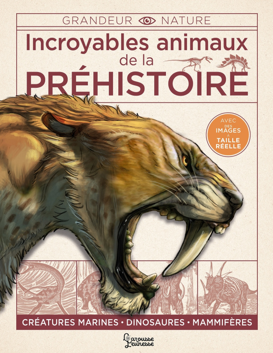 Kniha Incroyables animaux de la préhistoire Dougal Dixon