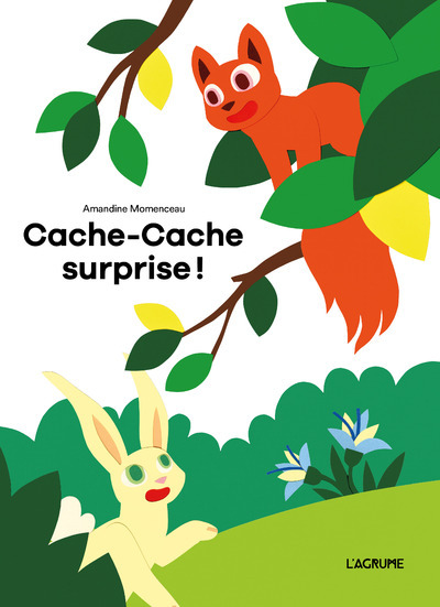 Knjiga Cache-cache surprise ! Amandine Momenceau