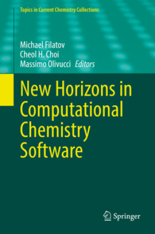 Kniha New Horizons in Computational Chemistry Software Michael Filatov