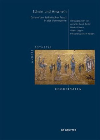 Kniha Schein und Anschein Annette Gerok-Reiter