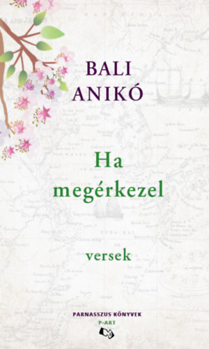Boek Ha megérkezel Bali Anikó
