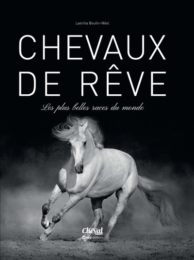 Buch Chevaux de rêves Laëtitia Boulin-Neel