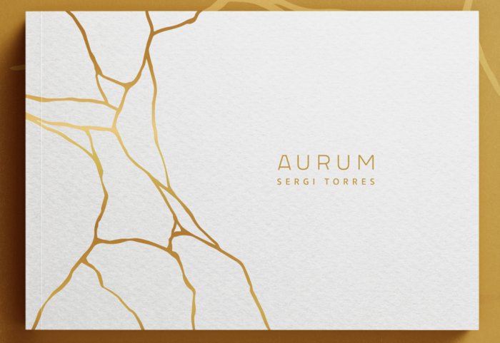 Knjiga Aurum TORRES BALDO