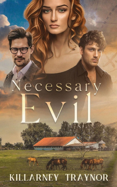 Boek Necessary Evil Killarney Traynor