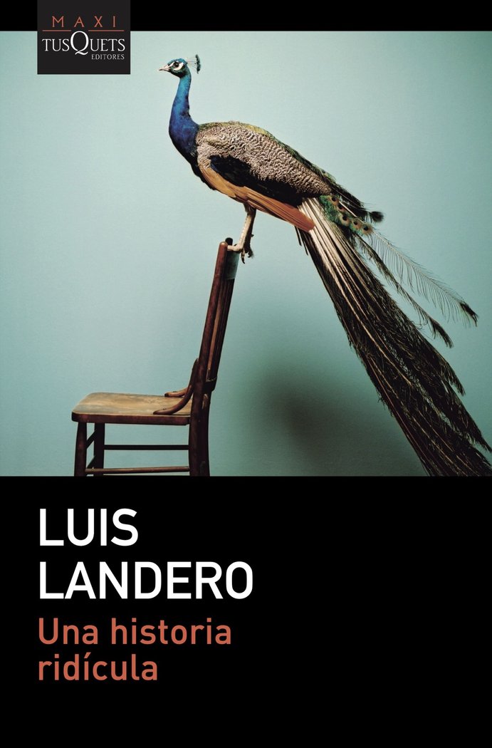 Kniha UNA HISTORIA RIDICULA LUIS LANDERO