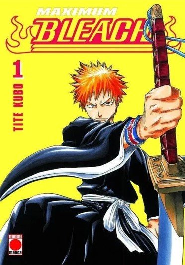 Kniha MAXIMUM BLEACH 01 Tite Kubo