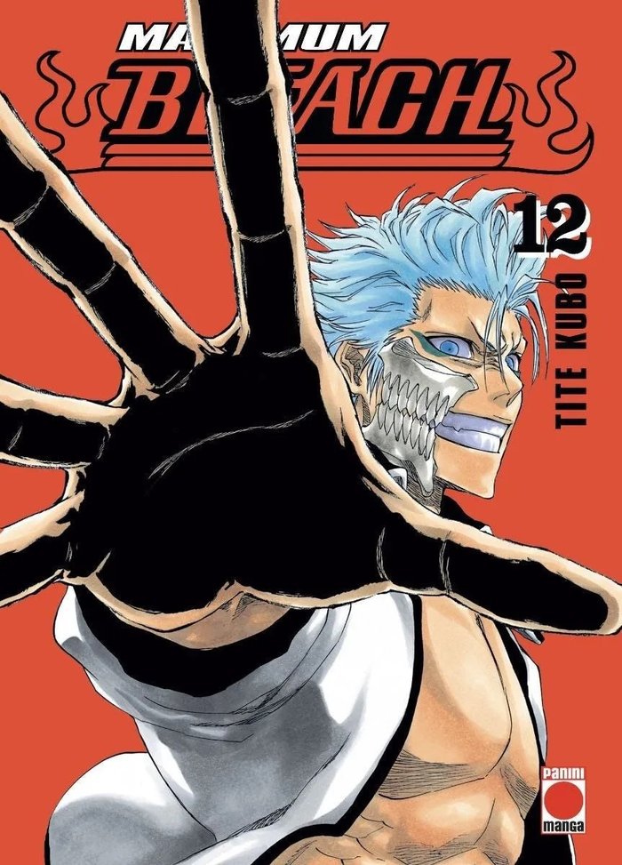 Kniha MAXIMUM BLEACH 12 Tite Kubo