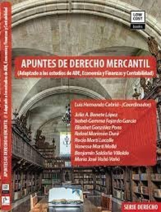 Kniha APUNTES DE DERECHO MERCANTIL 