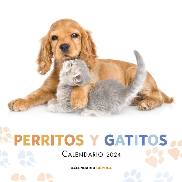 Knjiga PERRITOS Y GATITOS 2024 AA. VV.
