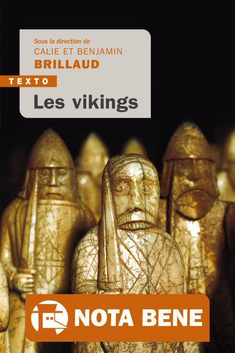 Kniha Les vikings Brillaud