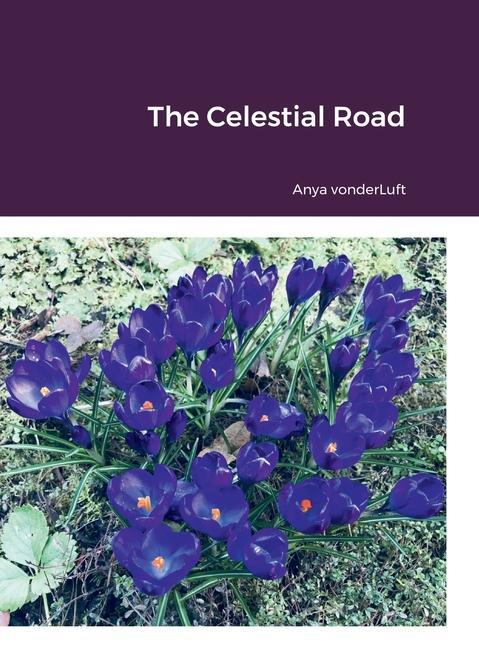 Knjiga The Celestial Road Anya VonderLuft