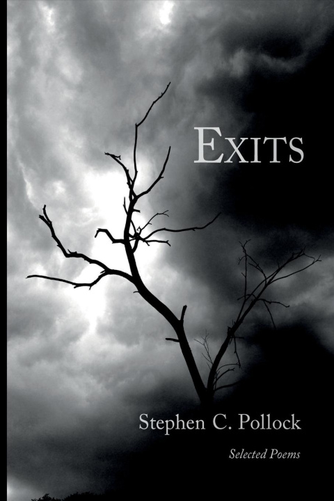 Knjiga Exits Stephen C Pollock