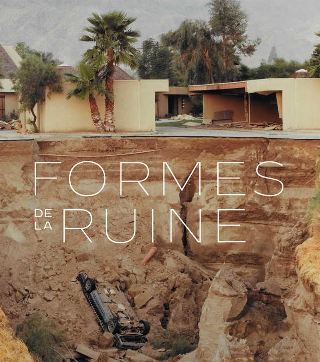 Knjiga Les formes de la ruine Schnapp alain