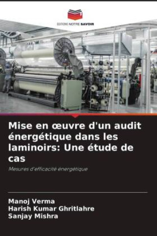 Kniha Mise en ?uvre d'un audit énergétique dans les laminoirs: Une étude de cas Harish Kumar Ghritlahre