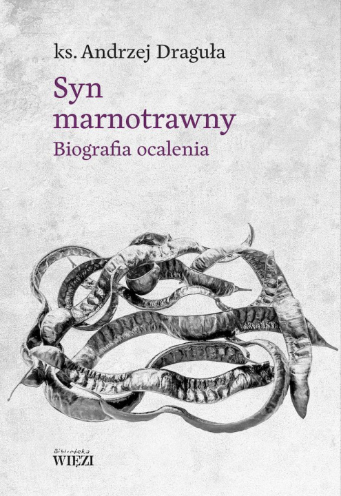 Livro Syn marnotrawny Draguła Andrzej