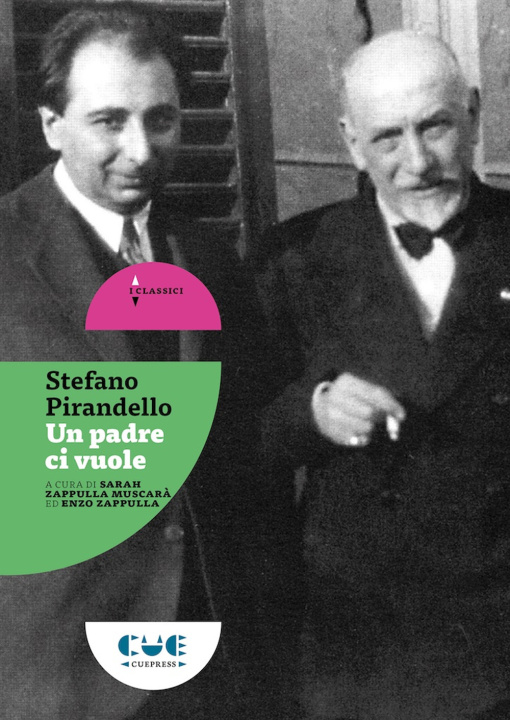 Книга padre ci vuole Stefano Pirandello