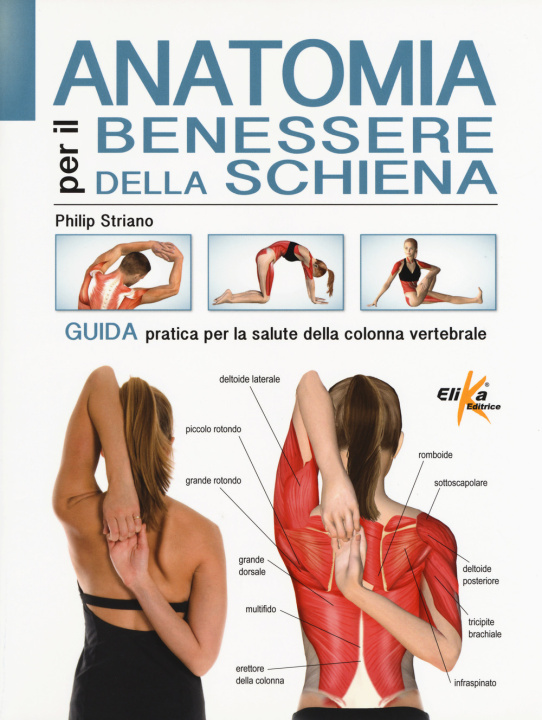 Kniha Anatomia per il benessere della schiena. Guida pratica per la salute della colonna vertebrale Philip Striano