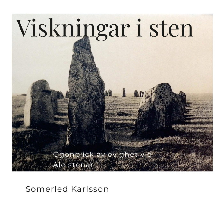 Книга Viskningar i sten Somerled Karlsson