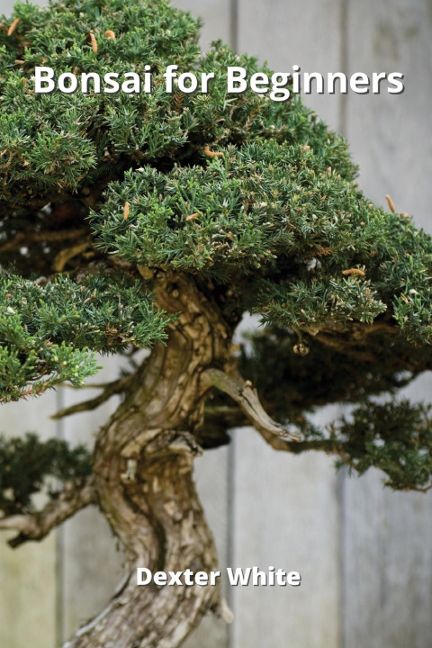 Książka Bonsai for Beginners 