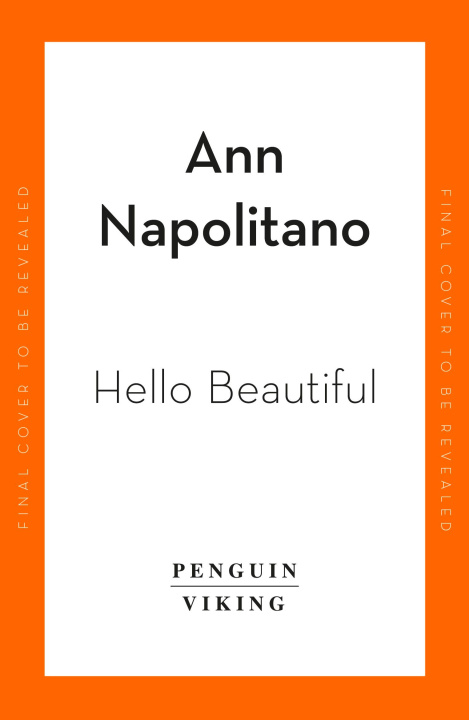 Kniha Hello Beautiful Ann Napolitano