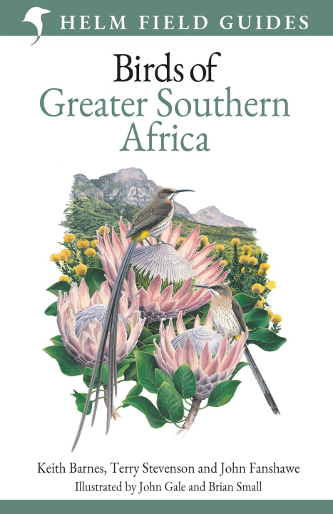 Książka Field Guide to Birds of Greater Southern Africa Terry Stevenson