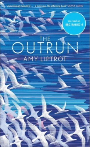 Boek Outrun Amy Liptrot