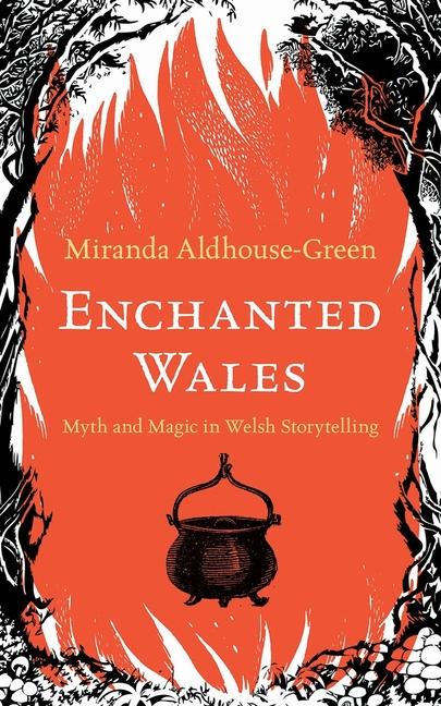 Kniha Enchanted Wales Miranda Aldhouse-Green