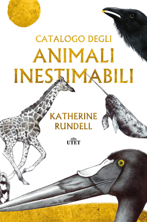 Carte Catalogo degli animali inestimabili Katherine Rundell