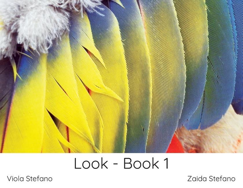 Boek Look - Book 1 Viola Stefano
