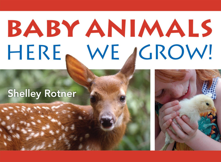Buch Animals!: Here We Grow Rotner